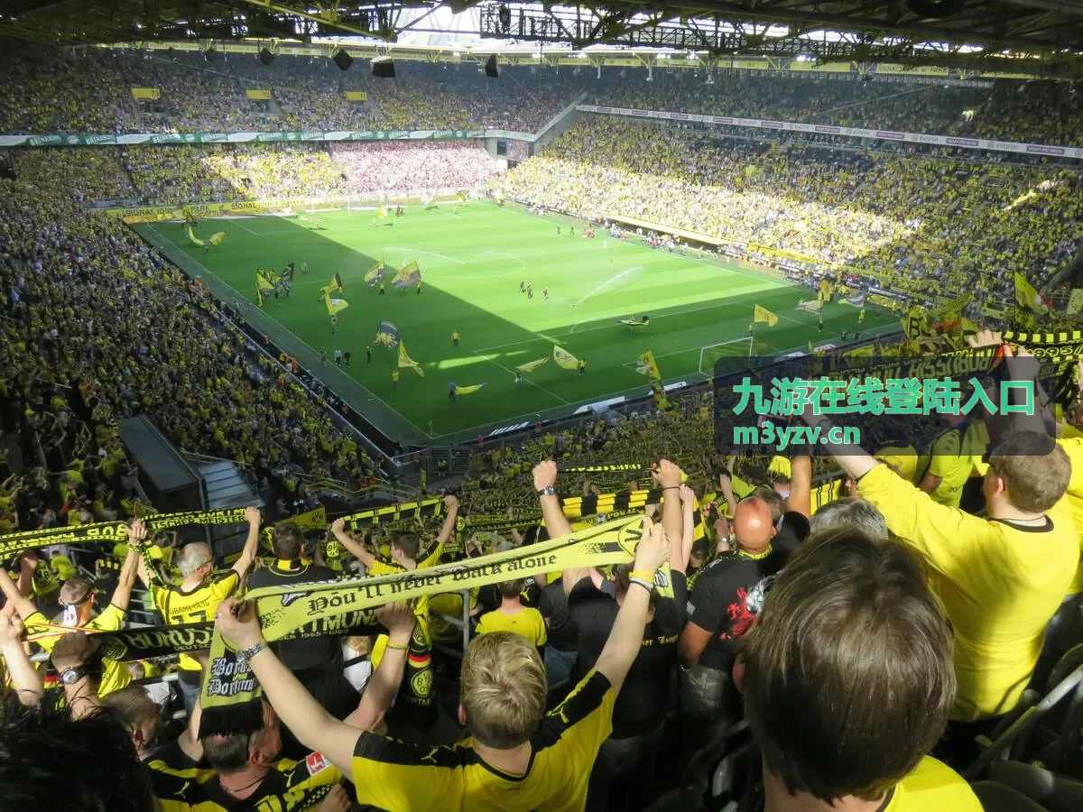 九游在线登陆入口账号校验环境检查示意