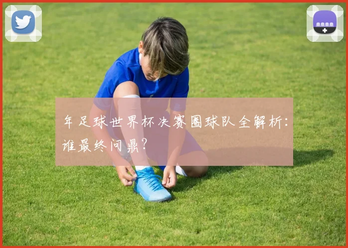 年足球世界杯决赛圈球队全解析：谁最终问鼎？