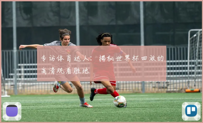 专访体育达人:揭秘世界杯回放的高清观看胜地