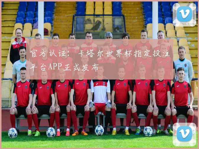 官方认证:卡塔尔世界杯指定投注平台APP正式发布