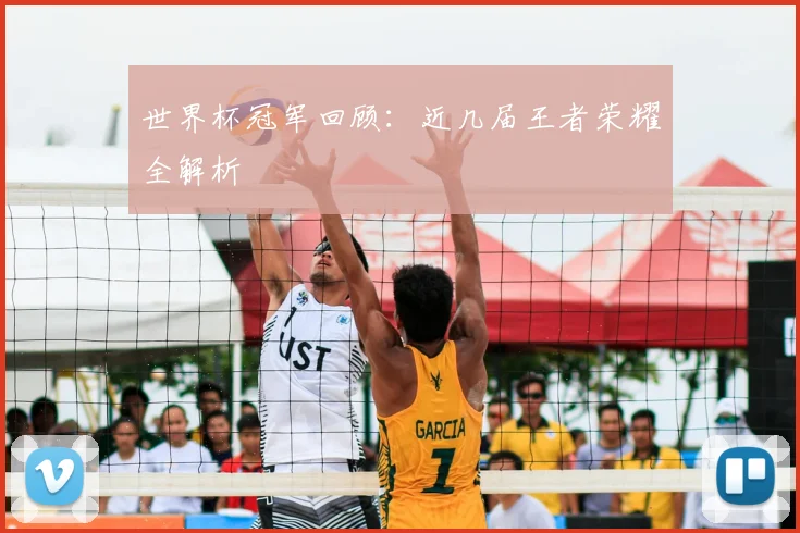 世界杯冠军回顾:近几届王者荣耀全解析