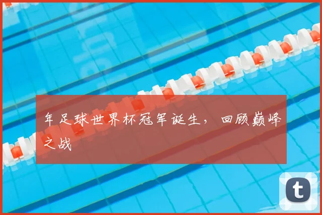 年足球世界杯冠军诞生,回顾巅峰之战