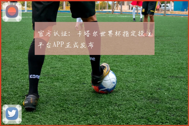 官方认证:卡塔尔世界杯指定投注平台APP正式发布