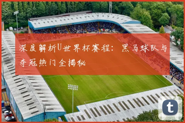 深度解析U世界杯赛程：黑马球队与夺冠热门全揭秘